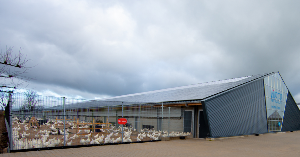 Kipster-buitenzijde-nieuwe-boerderij