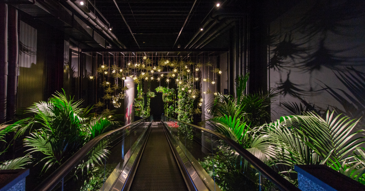 Floriworld-verlichting-met-roltrap-en-planten