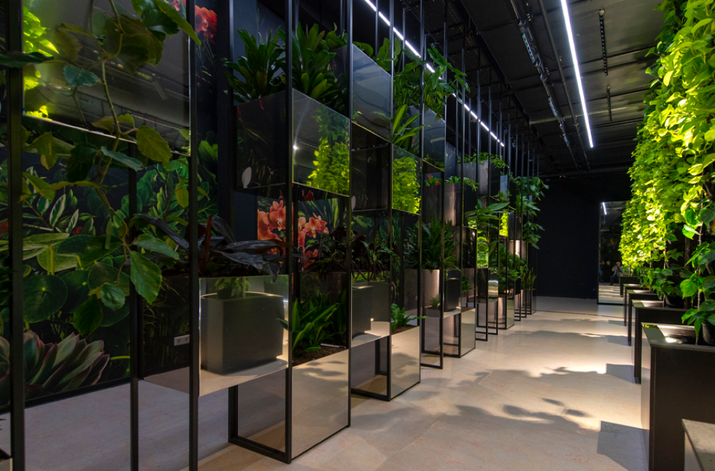 Planten-en-verlichting